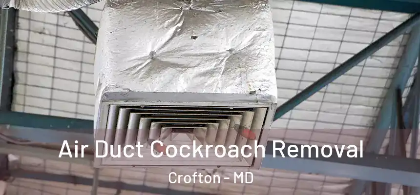  Air Duct Cockroach Removal Crofton - MD