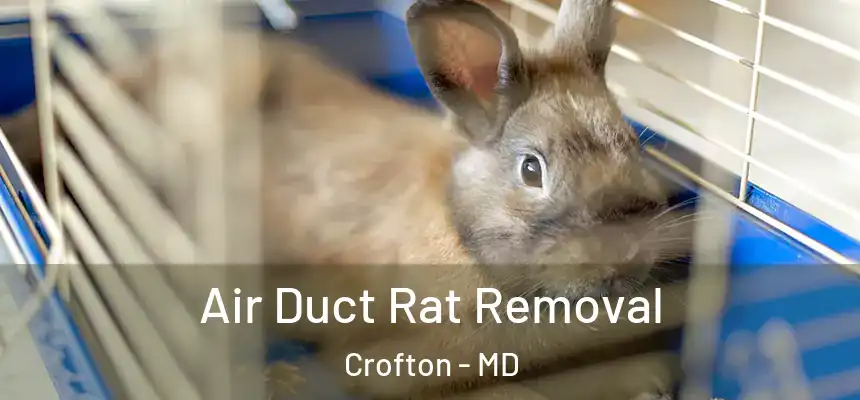  Air Duct Rat Removal Crofton - MD