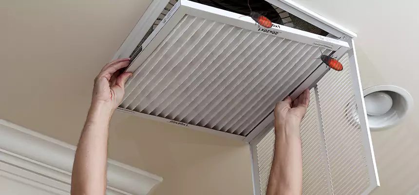 Preventive Cockroach-Proofing for Ducts in Crofton