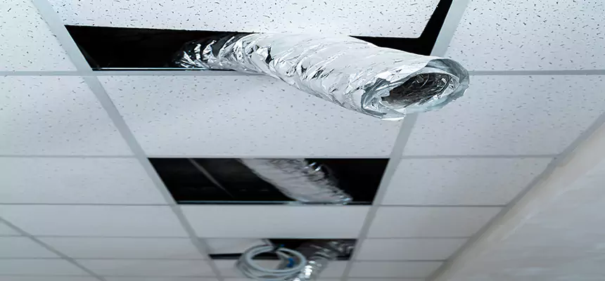 Affordable HVAC Sanitizing After Pest Removal in Crofton