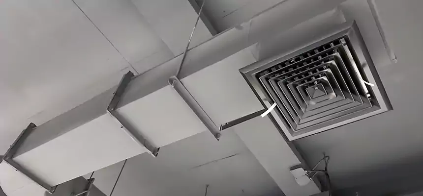 Our Pest Removal From Ducts Services in Crofton, MD