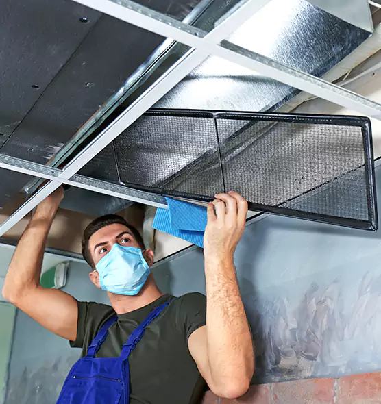 About Air Duct Bacteria Removal in Crofton