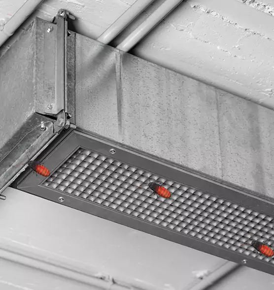 About Air Duct Cockroach Removal in Crofton, MD