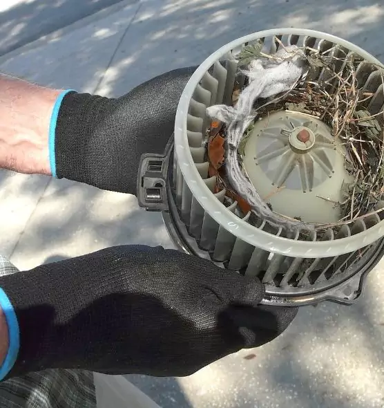 About Air Duct Mice Removal in Crofton, MD