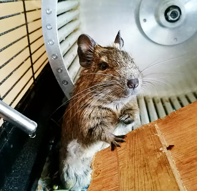 Why Homeowners & Businesses Trust Us Crofton, MD?